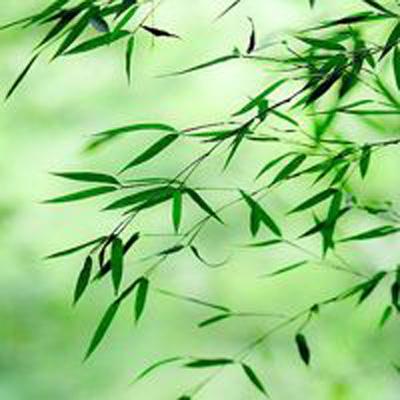 末剑九游版下载
