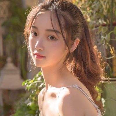 青丘狐传说gm版下载